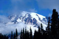 Mt.Rainier at Paradise station